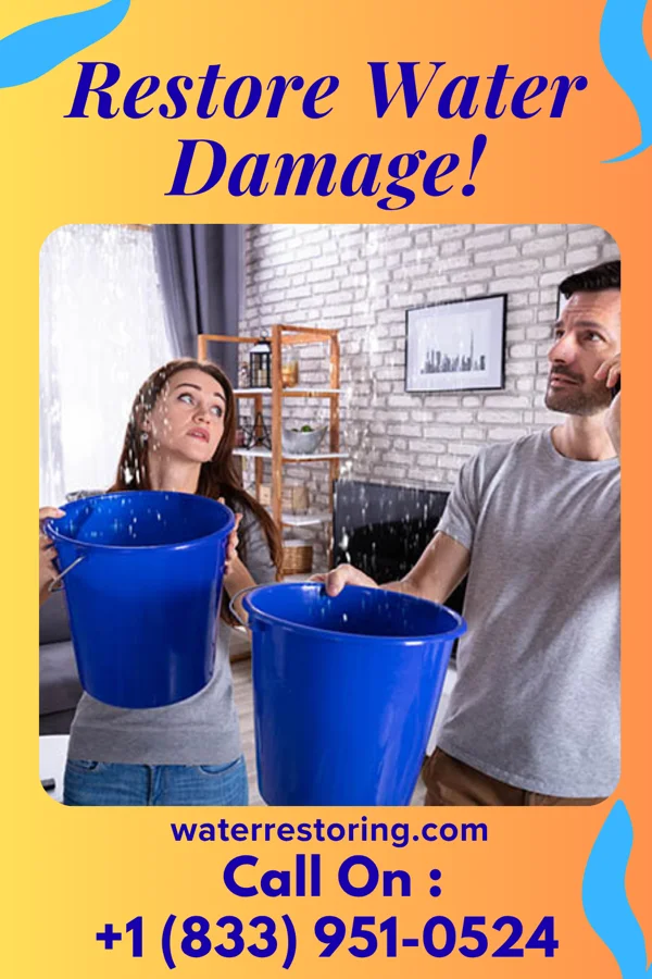 water restoration Guardian Flood Cleanup LLC Newport East