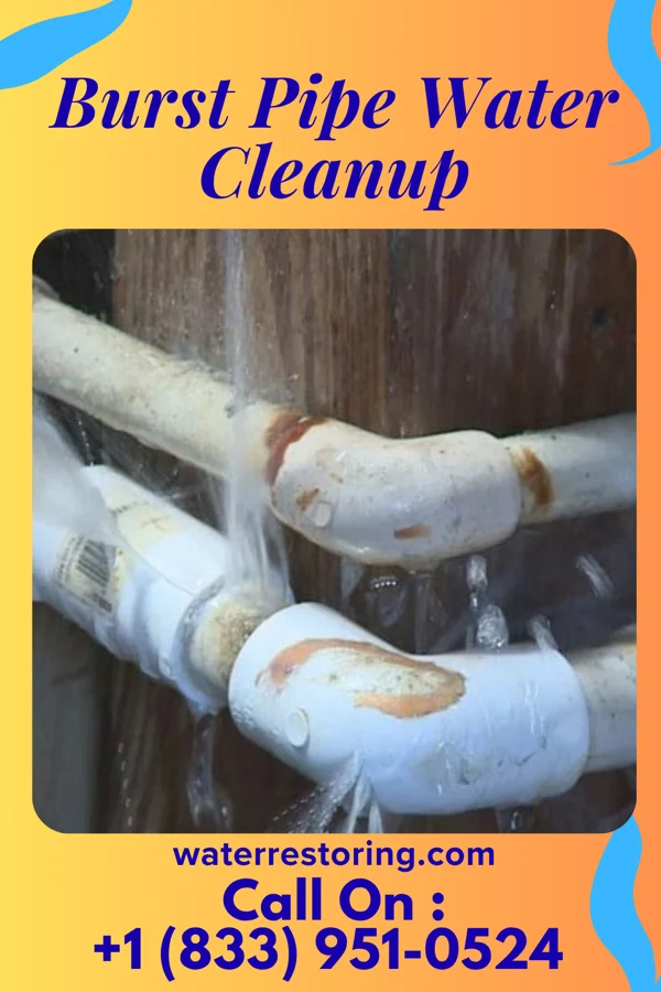 Burst Pipe Water Cleanup in Newport East, RI