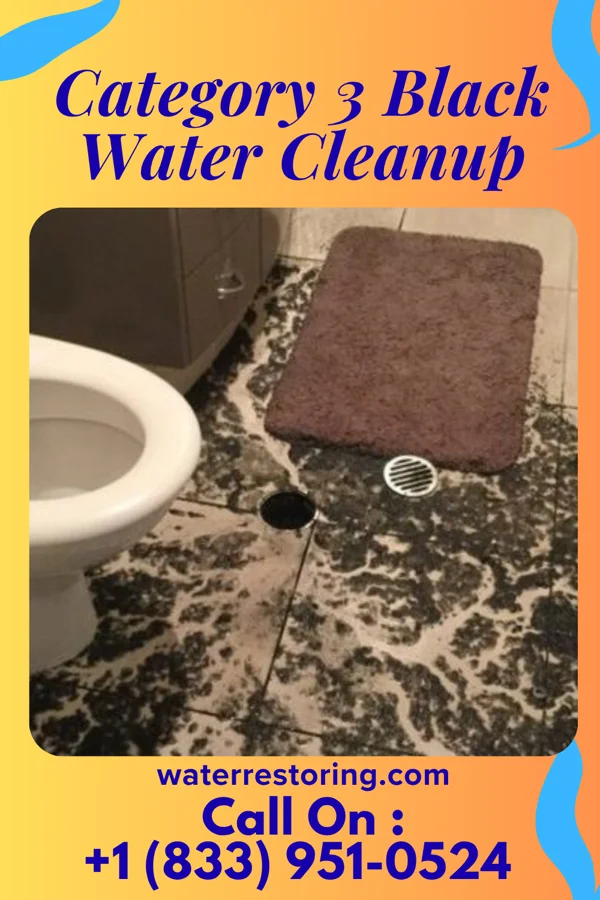 Category 3 Black Water Cleanup in Newport East, RI