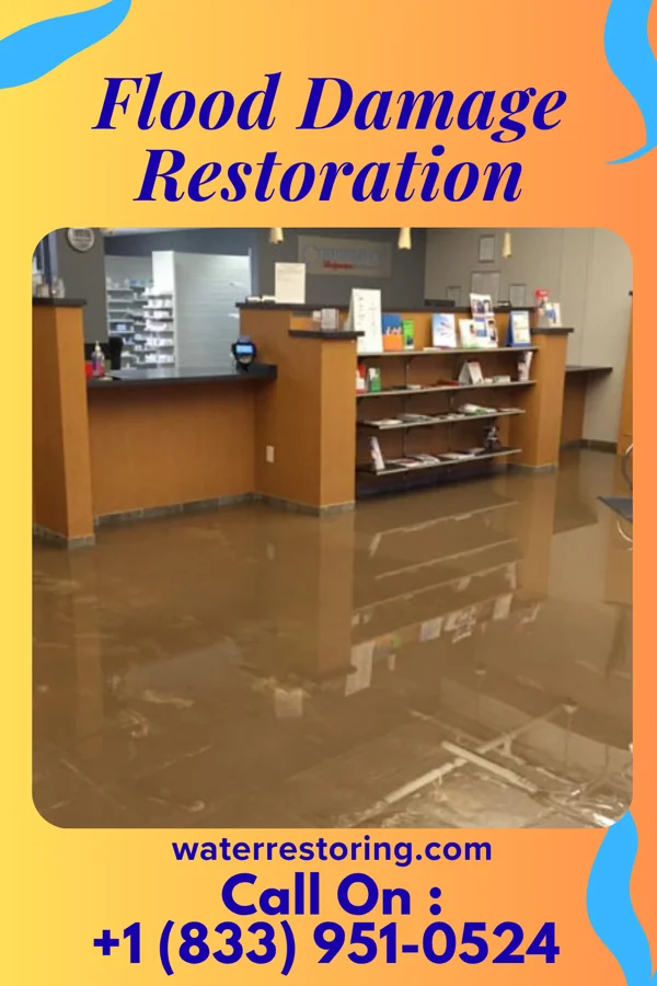 Flood Damage Restoration in Newport East, RI