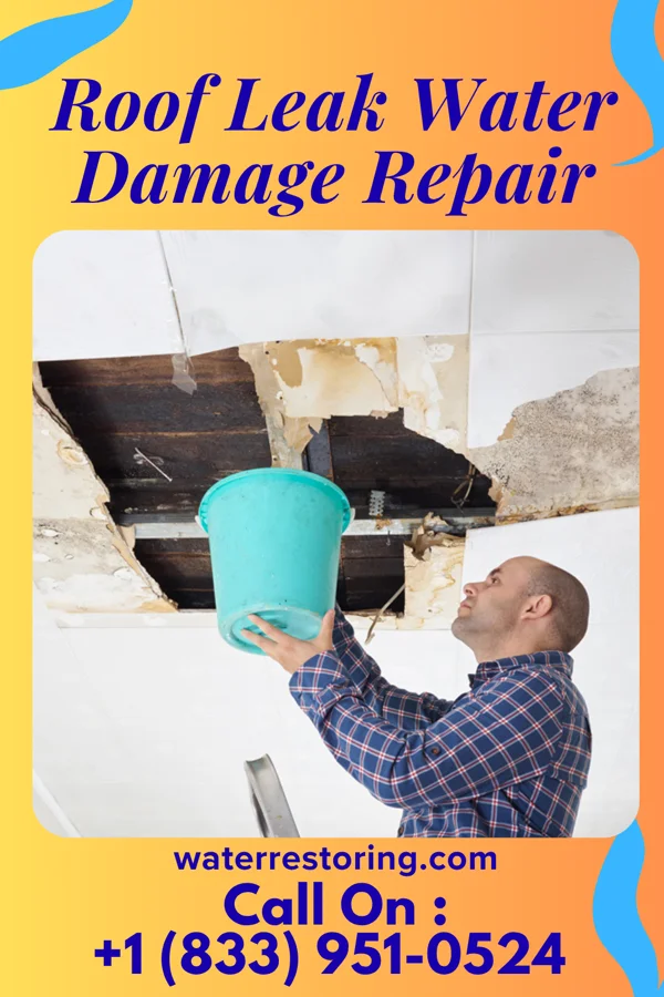 Roof Leak Water Damage Repair in Newport East, RI