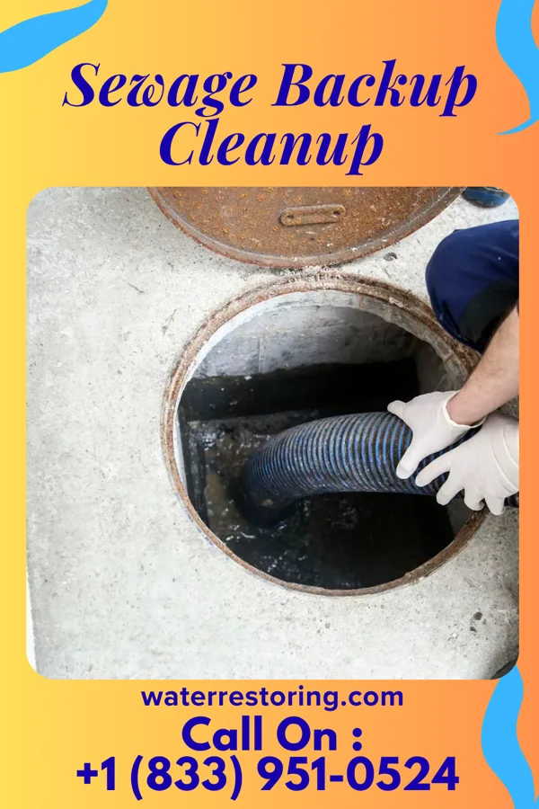 Sewage Backup Cleanup in Newport East, RI