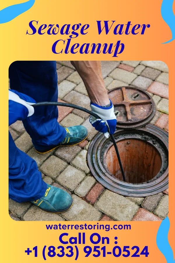 Sewage Water Cleanup in Newport East, RI