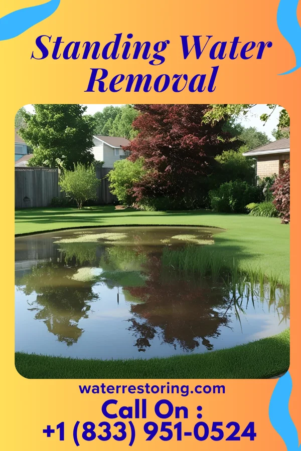 Standing Water Removal in Newport East, RI